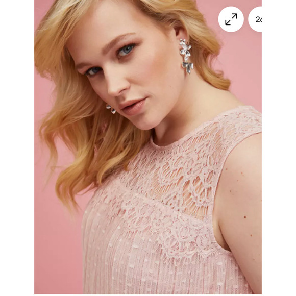 LANE BRYANT NWT size 14/16 pink Blush Embroidered Dot Mesh Swing Dress Beautiful - Picture 2 of 15